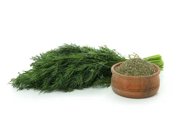 تصویر 1 از شوید خشک صادراتی تهیه شده از سبزی مرغوب ایرانی